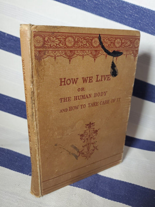 1884 How We Live - Johonnot And Bouton RARE First Edition HC Human Body Anatomy