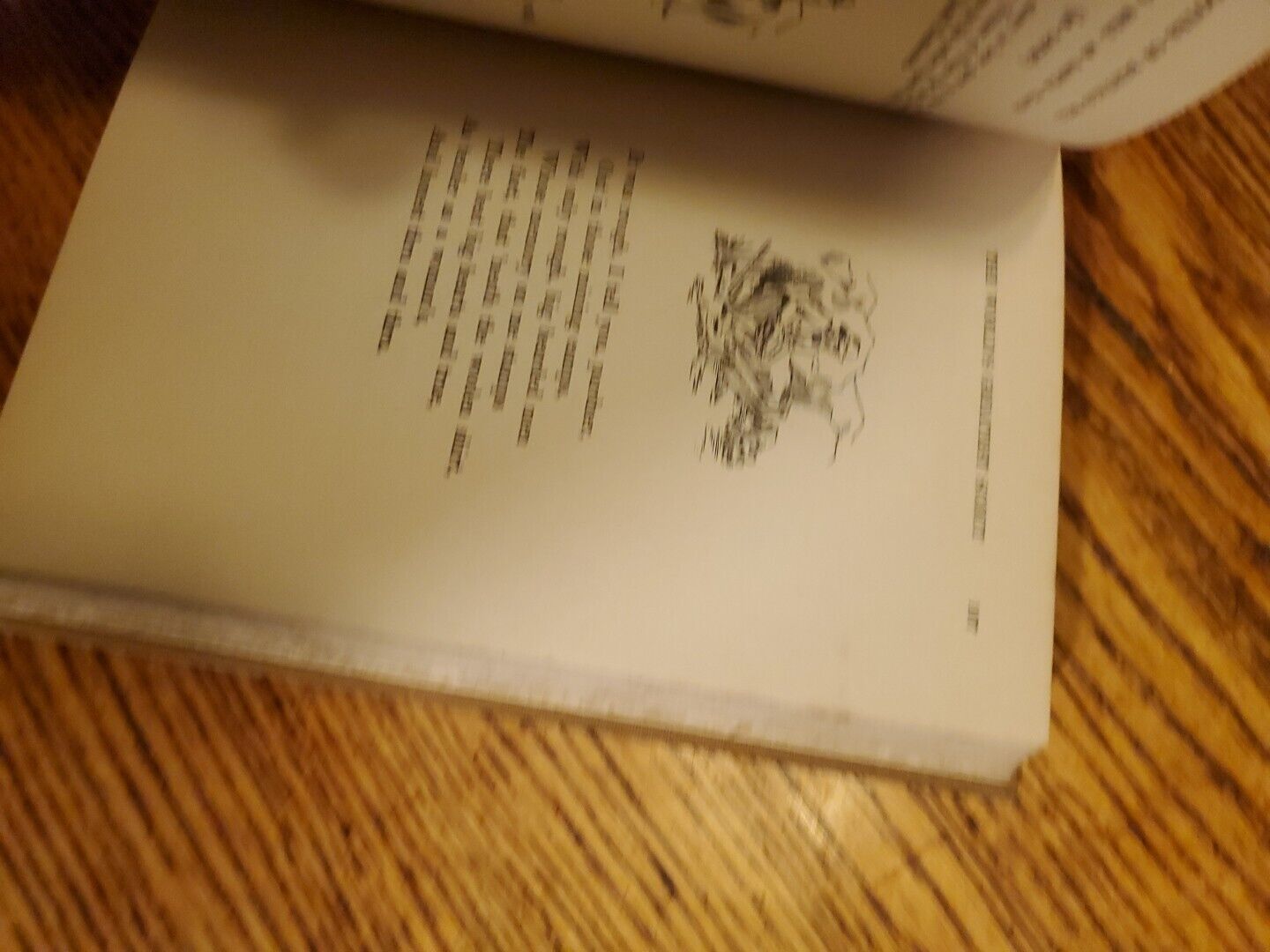 ANECDOTES OF "Buffalo Bill", Dan Winget 1927, Lightly Illustrated