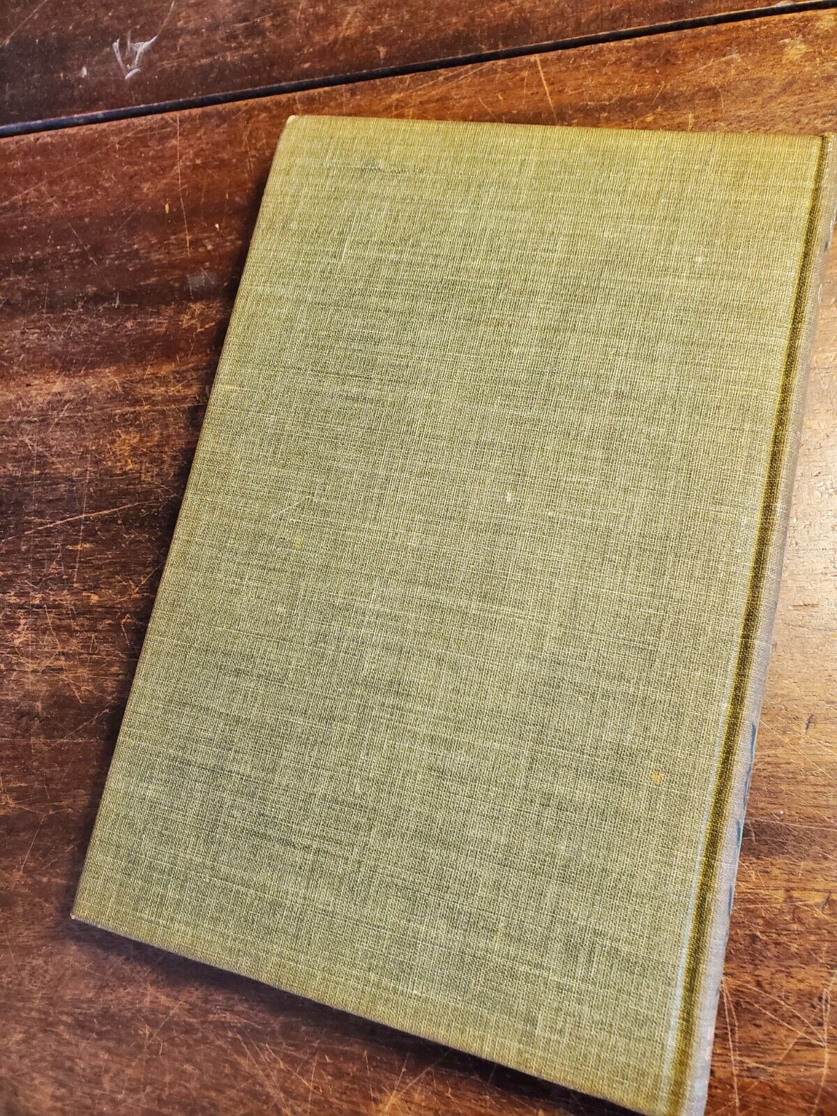 A Checked Love Affair, Paul Leicester Ford, First Illustrated Edition, 1903