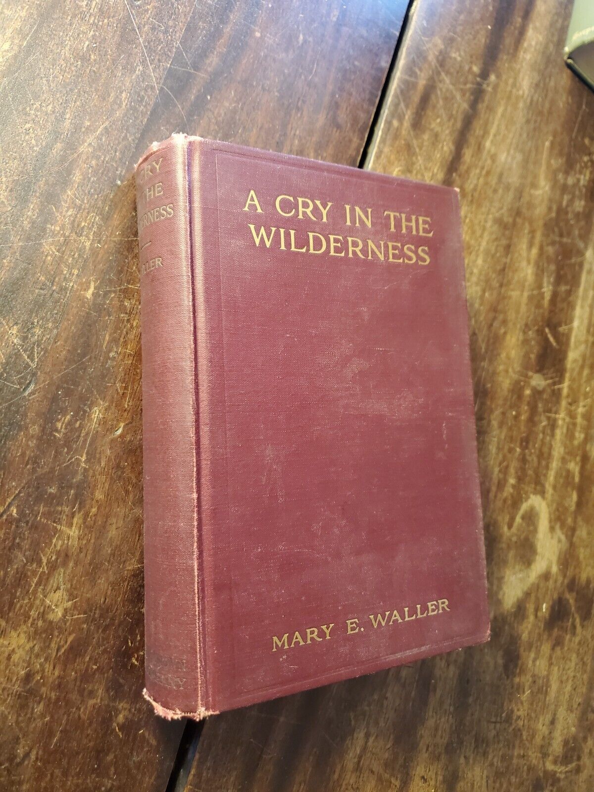 A Cry In The Wilderness, Mary E. Waller, First Edition, 1912, COlor frontispiece