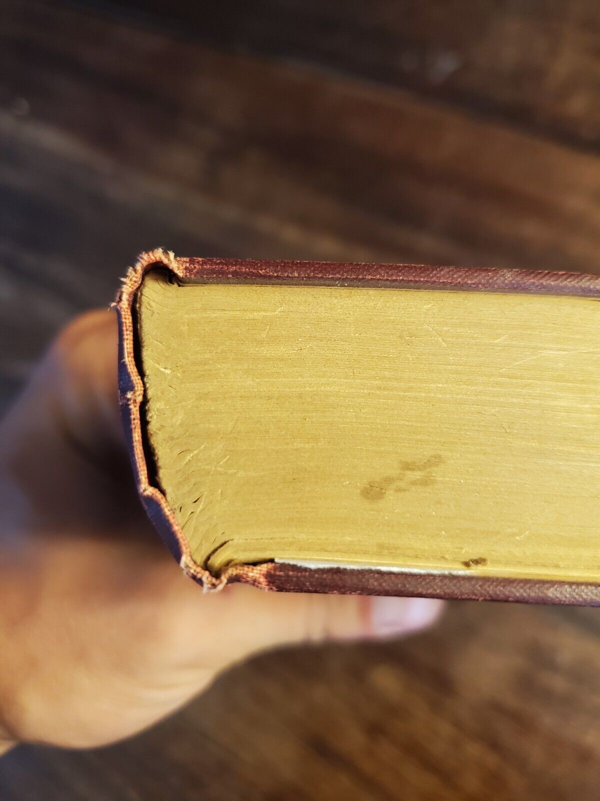 A Cry In The Wilderness, Mary E. Waller, First Edition, 1912, COlor frontispiece