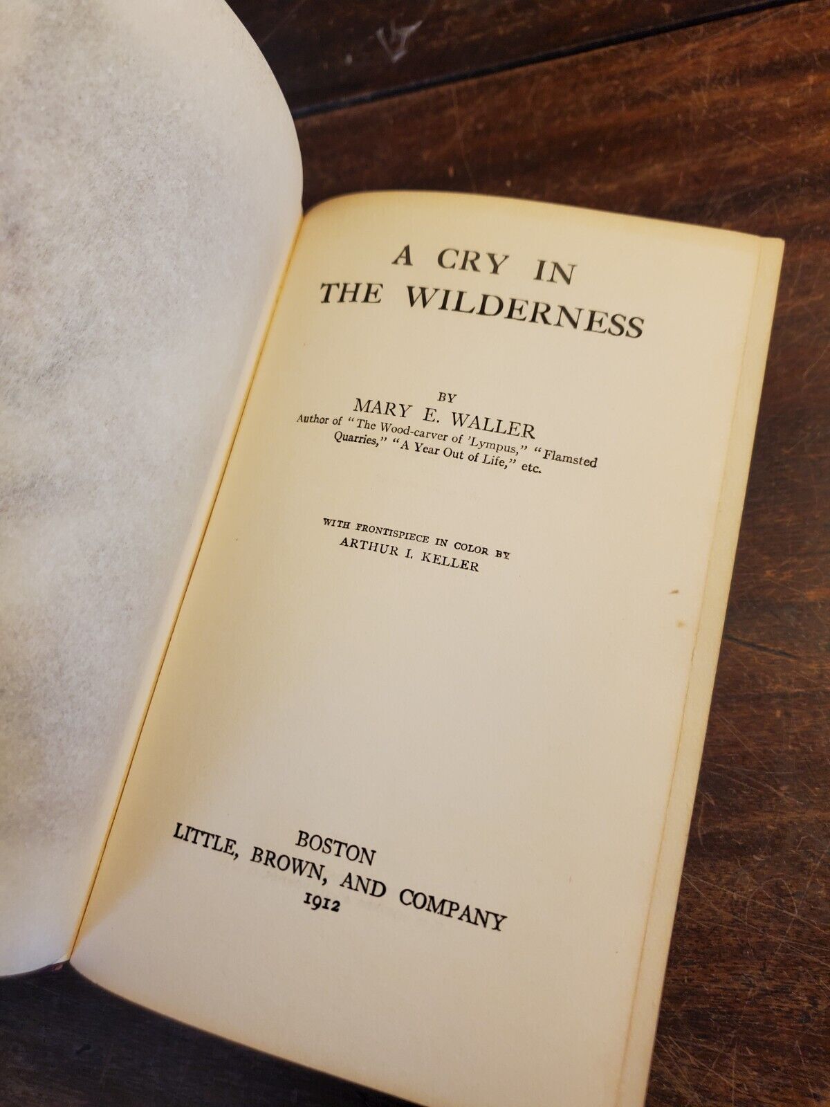 A Cry In The Wilderness, Mary E. Waller, First Edition, 1912, COlor frontispiece